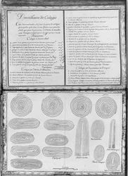 Seile einer Galeere, Tafel 34, Illustration aus 
